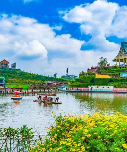 乐山宠物旅游攻略，萌宠同乐，欢乐时光不容错过！
