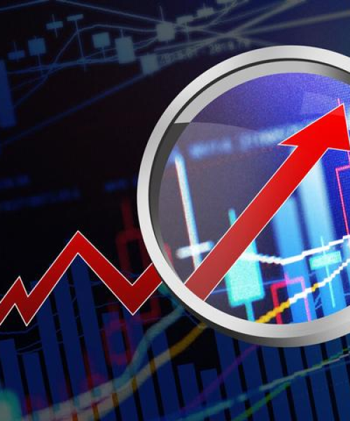 最新中央股票动态及今日行情深度剖析