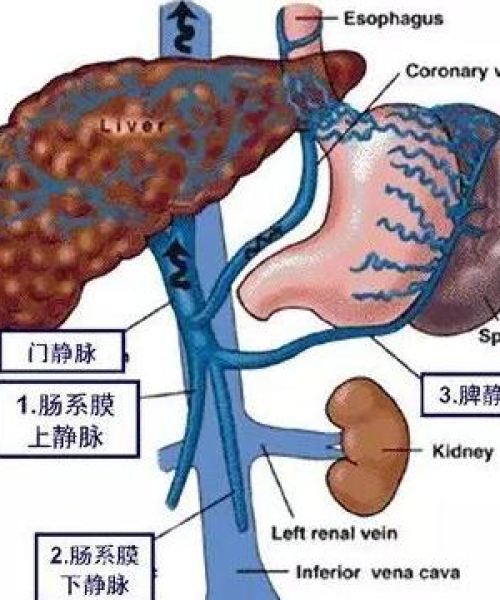 百度独家揭秘，上海血液科医院领先科技与服务体验风采