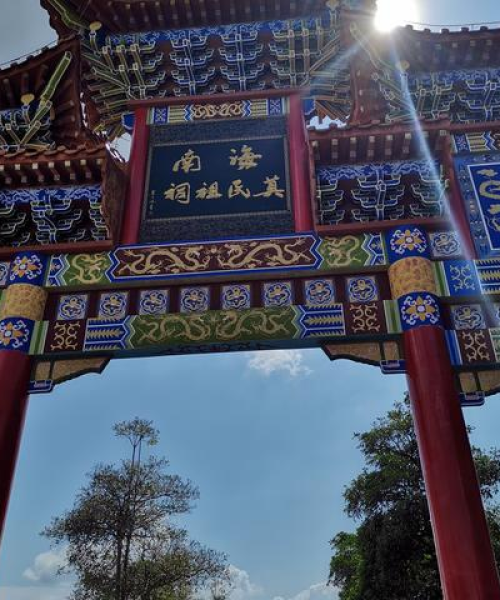 徐闻城东新闻头条视频，探寻地方新闻魅力，新鲜资讯尽在掌握