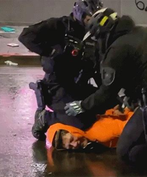 美国警察力量分布揭秘，前十名站位排名与背后的故事