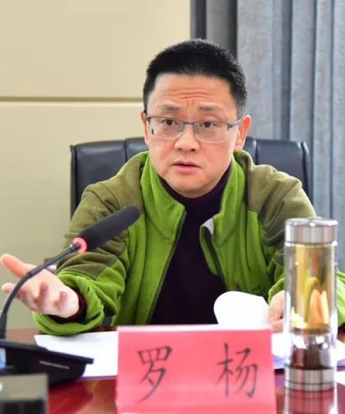 思想汇报，深度解析三大关系，最新洞察（2024年）