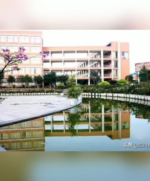 宜宾升学规则最新政策解读，全方位了解升学要求与变化