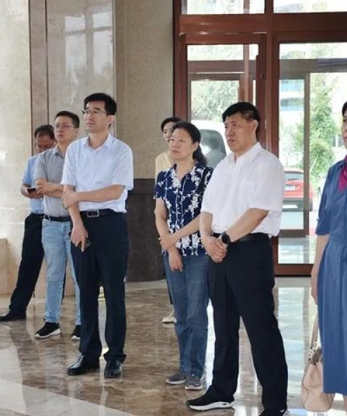 鲨鱼运营软件全新下载，业务高效运转的秘密武器！