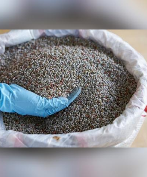 硫磺最新价格动态，市场走势与影响因素深度解析