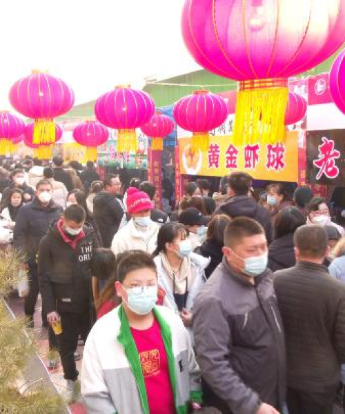 枣强县最新发展动态，活力四溢的消息今日揭秘
