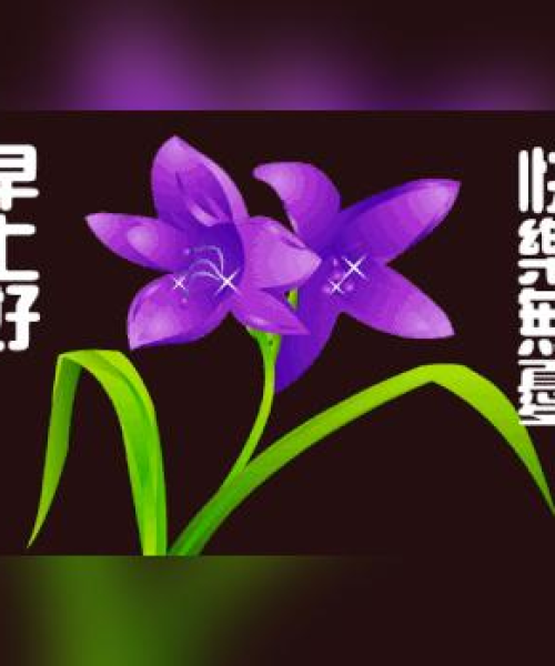 励志早安语录，开启活力满满的一天！