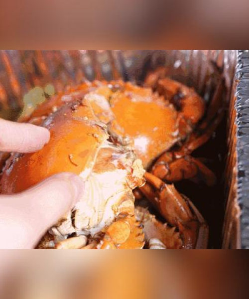 遂溪美食与旅游全攻略，品味地道美食，畅游绝美胜地！