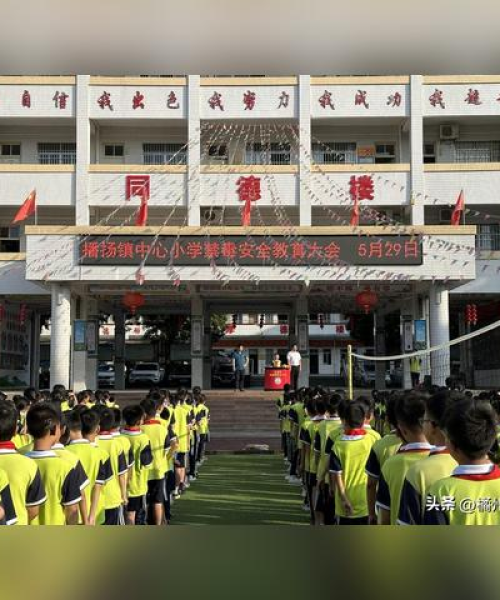化州播扬新闻，最新动态一网打尽