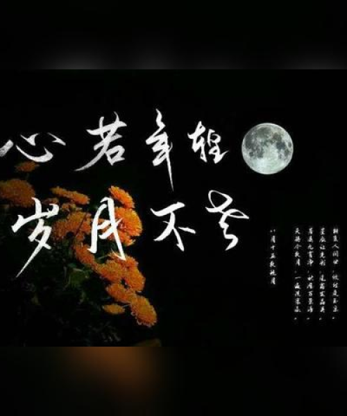 免费励志语录，照亮前行之路的明灯启迪你心！