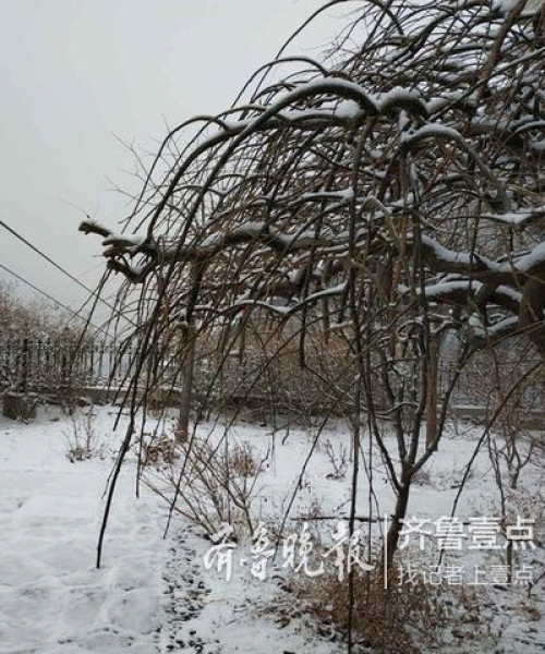南山壹品毛坯房最新价格表揭秘，洞悉市场动态，助你购房决策！