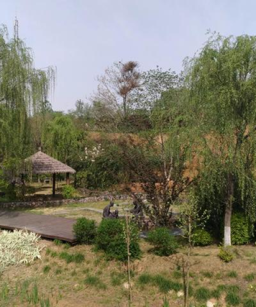 郑州暮春赏花攻略，踏春赏花，探寻繁花似锦的春天之旅