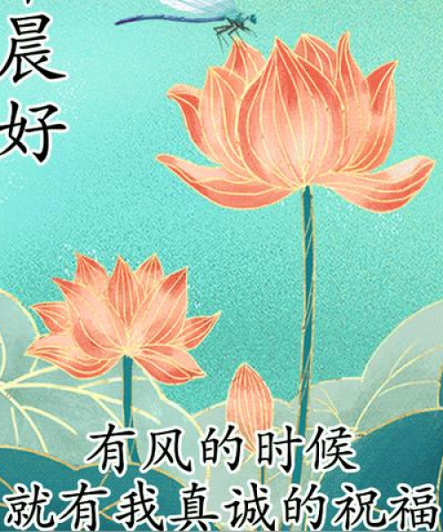 励志早安语录，保险力量护航人生航程