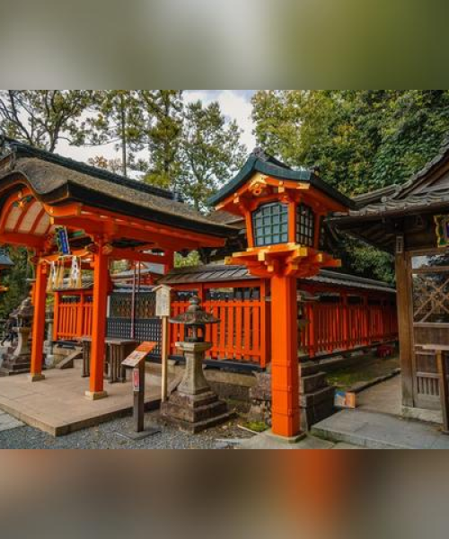 京都秋季旅游攻略，探寻古都金色魅力