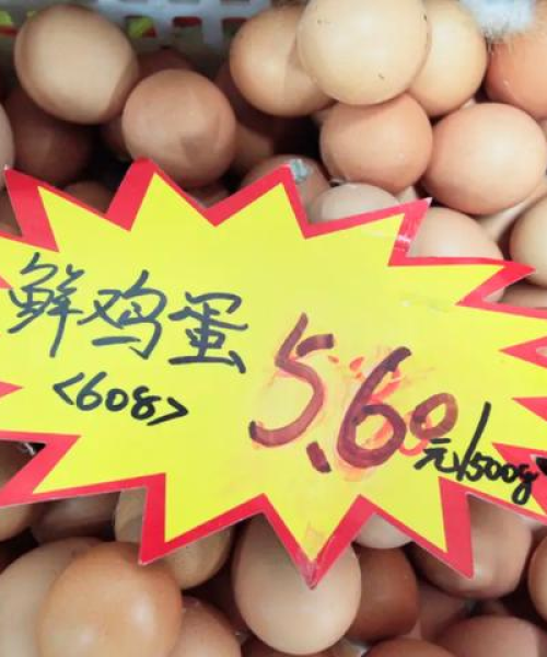 河南羊价今日行情分析，最新市场动态揭秘