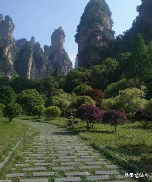 深圳自驾游路线攻略，最新路线图，带你畅游深圳美景