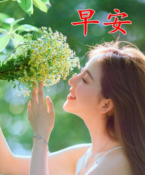 正月十四励志早安语录，开启新一天的光芒与希望