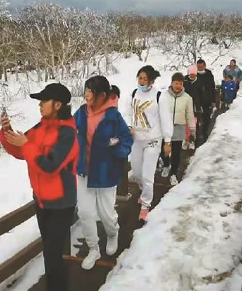黑龙江玻璃采暖公司排名大揭秘，专业品质与信誉的双重考验！