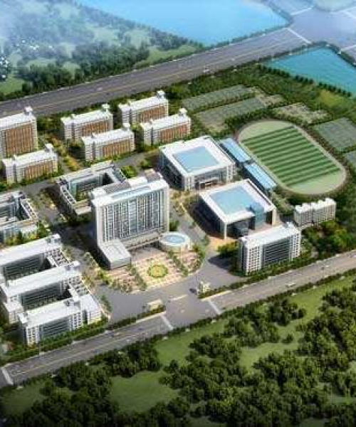 河南高校TOP10批次排名揭秘，河南高等教育新格局解读