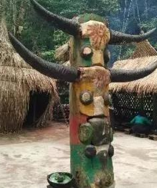 揭秘西双版纳神秘之旅，品质旅游攻略带你畅游热带雨林