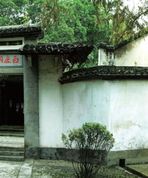 河南名校解读，排名前十中学教育概览
