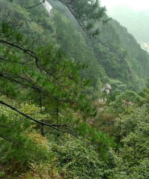 黄山自由行机票攻略大全，最新指南助你畅游黄山！