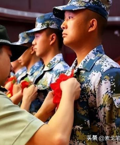 揭秘益阳首富排名前十背后的成功故事