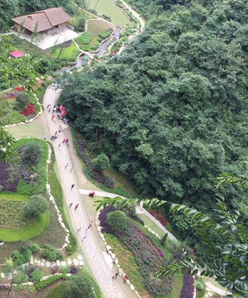 探索之旅，百度优化语文教案教学，高效语文教学方案构建指南