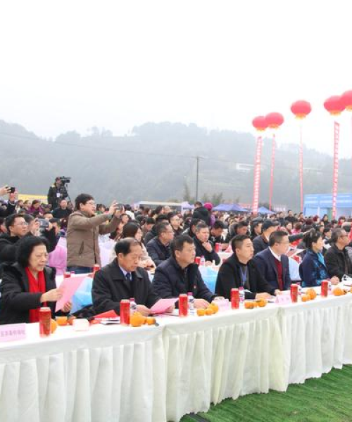 宜宾温泉之旅攻略，探秘温泉胜地，尽享宜人之旅！