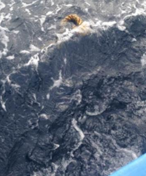 海洋研究公司排名揭秘，引领海洋领域的顶尖力量