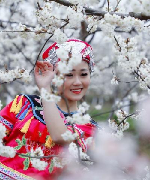 宣汉油菜盛开，花海引领乡村新篇章，新闻头条聚焦油菜花海盛景
