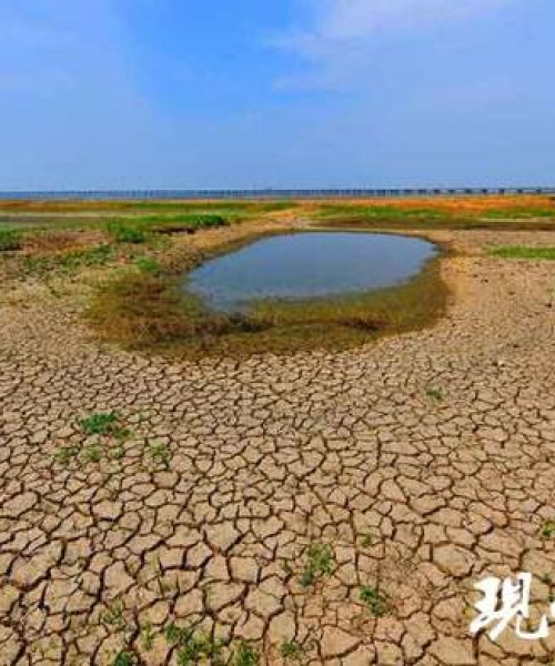 阳江最新降温时间表揭秘，天气预报及应对攻略大揭秘！