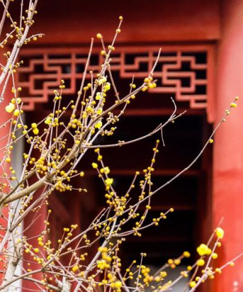 东湖古韵探秘，超详细旅游攻略