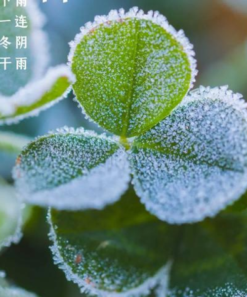 励志拼搏语录，霸气侧漏，激发无限潜能！