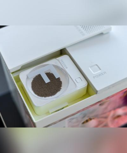 小米智能灯光排名前十，智能家居首选之光！