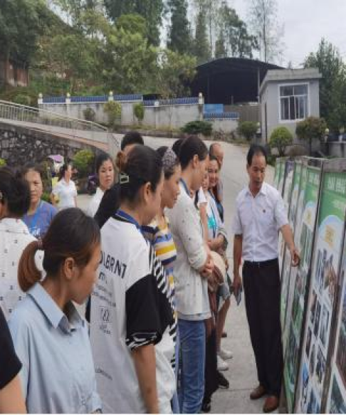 院校专业最新动态一键查询，助力学子把握教育前沿资讯